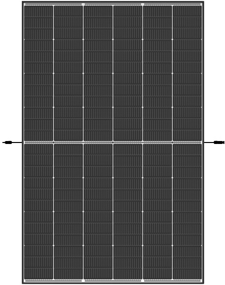 BKW 900W: 2x Trina 450Wp Glas-Glas + Mikrowechselrichter Hoymiles HMS-800W-2T inkl. WLAN